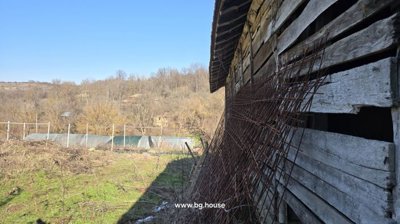 Side view of a wooden outbuilding with metal mesh leaning against the wall