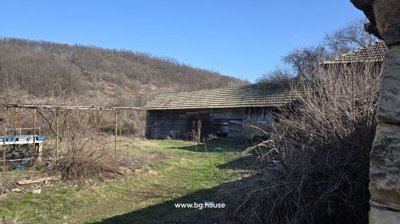 Garden area with grass and wooden barn surrounded by trees and hills