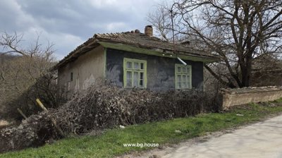 Side view of a traditional house showing green window frames, tiled roof, and surrounding vegetation.