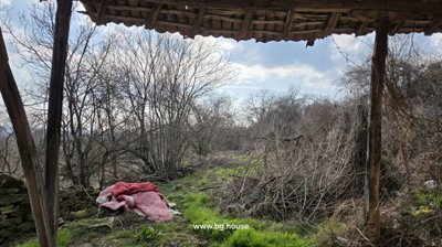 View from a wooden porch looking out to a green garden area with dry branches and discarded blankets on the ground.