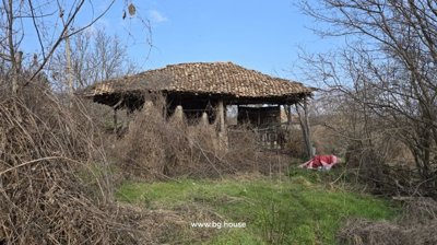 Outdoor wooden structure with a tiled roof, surrounded by dry vines and green grass.