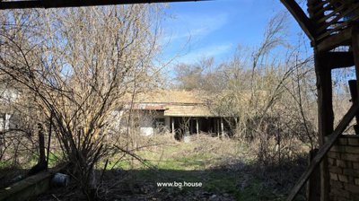 View from barn opening showing a white house with green windows and an overgrown garden