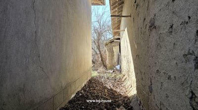 Narrow outdoor passage between two house walls covered with dry leaves and sunlight at the end