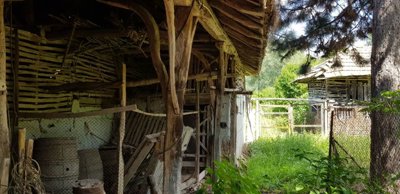 Rustic barn made of wooden beams and wattle and daub walls surrounded by greenery.