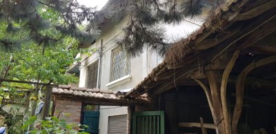 Side perspective showing house windows, green plants, and adjacent wooden outbuilding roof