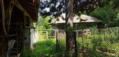 View of wooden outbuildings surrounded by green trees and fenced garden space