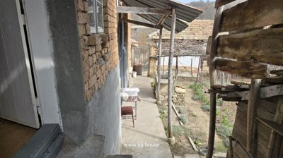 Concrete walkway alongside a brick house with garden plants, a wooden outbuilding, and a small table with a chair