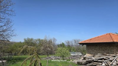 View of the garden showing trees, green grass, and a brick building with a red tiled roof under a clear blue sky.