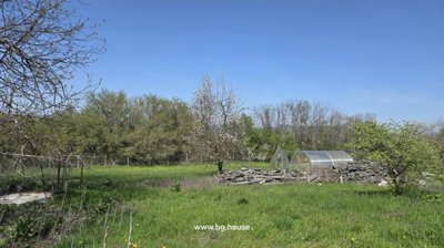 Garden area featuring trees, a small greenhouse, grass, and piles of wooden planks.