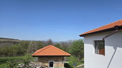 Garden area with trees and a small brick outbuilding under a clear blue sky