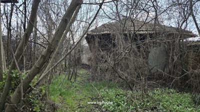 View of an overgrown garden with leafless trees and an old building covered in dry vines in Palamartsa village