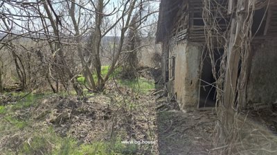 Side view of an old building surrounded by leafless trees and overgrown grass in the garden