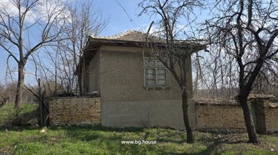 Side perspective of the house showing a tiled roof, a window, and a brick fence with leafless trees around.