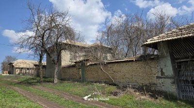 View of the house and adjacent outbuildings behind a brick fence, surrounded by leafless trees under blue sky.