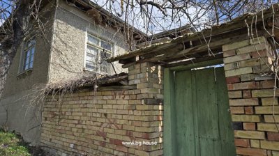 Brick fence featuring a green wooden door with leafless trees growing beside it under a blue sky.