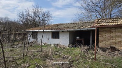 Single-storey outbuilding with white plastered walls and tiled roof surrounded by dry grass and leafless trees