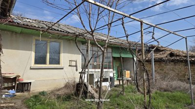 Side view of Bulgarian house with windows, green painted woodwork and garden vines on metal trellis