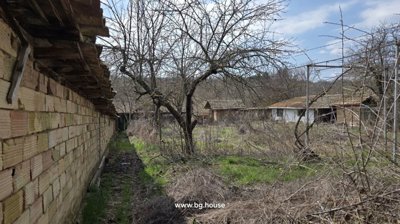 Garden area featuring leafless trees and multiple outbuildings with tiled roofs behind a brick wall