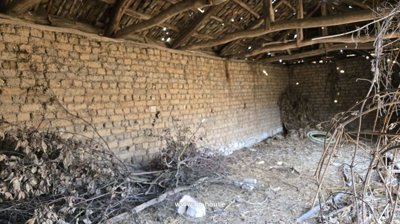 Inside view of a barn showing brick walls, dirt floor, and scattered dry branches and debris.
