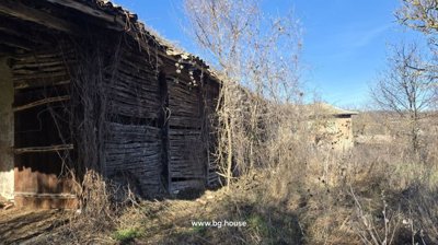 Side view of a rustic barn built with wooden beams and woven walls, surrounded by dry plants.