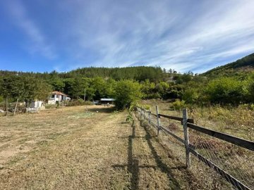View of a fenced grassy yard with trees and a hill covered in forest in the background