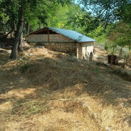 Stone building with a pitched metal roof surrounded by dry grass and trees
