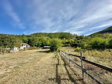 View of a fenced grassy yard with trees and a hill covered in forest in the background