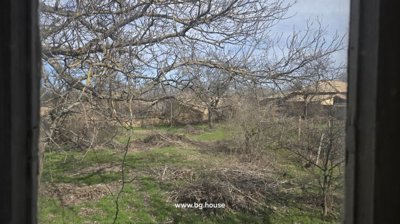 View from inside looking out to a garden area with leafless trees and old village buildings in the background.