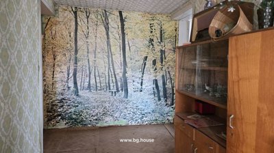 Interior room featuring wooden furniture, a glass display cabinet, and a large mural of a forest on one wall.