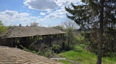 Garden with trees and visible roof of large old wooden outbuilding