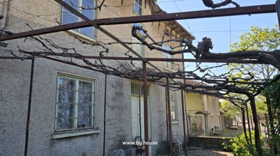 Side wall of the house featuring windows with floral curtains and a metal trellis with vines.