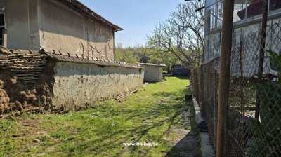 Grassy yard area bordered by two old buildings and a tree with a small wooden shed in the background