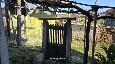 Wooden garden gate with green doors and wire fencing enclosing the garden area.