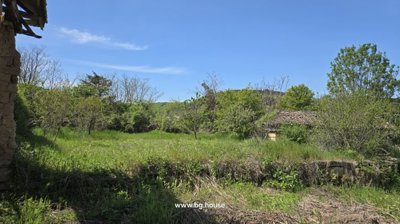 View of the green garden area with trees and grass behind the house