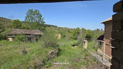 Garden area featuring grass, bushes, and a small outbuilding near the house