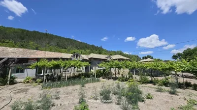 View of a traditional Bulgarian house with a tiled roof and garden vines growing in front, set against a pine forest and clear blue sky.