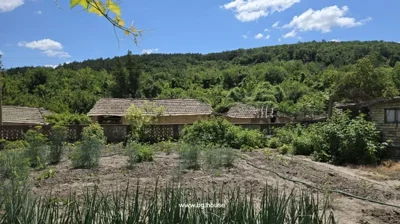 Rows of vegetable plants growing in a garden area, with a stone fence and outbuildings visible in the background.