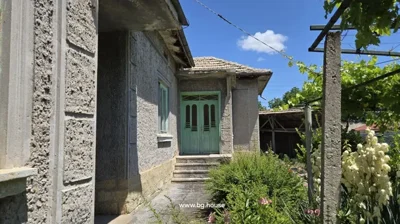 Side perspective of the house highlighting textured walls, green window frames, and a garden with flowers and greenery