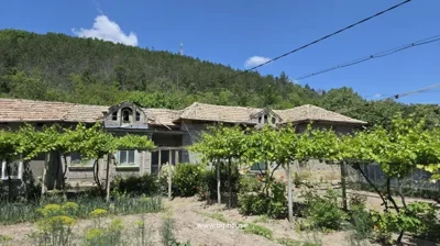 Wide view of a traditional rural house with a tiled roof and garden vines growing on trellises, with pine forest in the background.