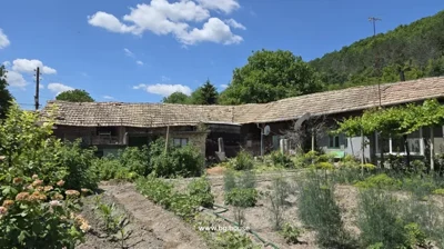 View of a vegetable garden with various plants growing, adjacent to a rural house with a tiled roof and outbuildings.