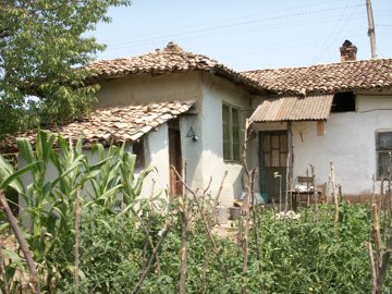 Side perspective of the village house featuring a tiled roof, windows, wooden door, and a garden with tall plants and wooden fencing.