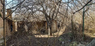 View of an overgrown garden area with leafless trees and an old outbuilding with a tiled roof in the background.