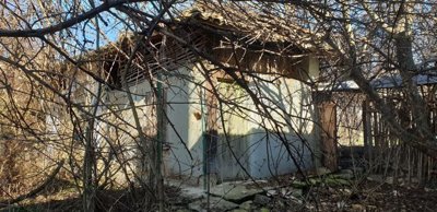 Small outbuilding featuring a wooden door, surrounded by leafless trees and rustic wooden fencing in the garden area.