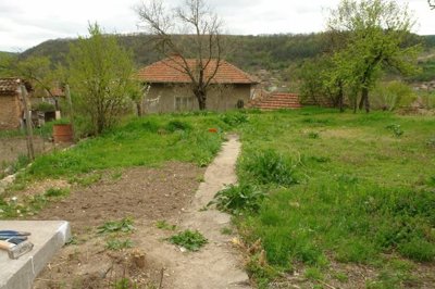 Garden plot featuring patches of grass and soil with a narrow concrete path running through it.