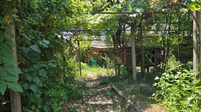 View of a garden area with dense greenery and a small brick building with a tiled roof