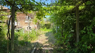Pathway in garden with plants and trees, leading to a two-story brick house