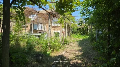 Garden pathway surrounded by plants and trees, leading to a two-story brick house with windows and balcony