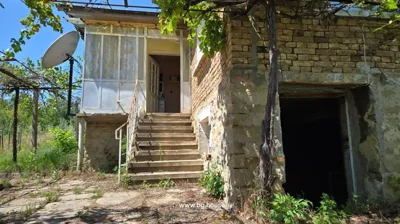 Concrete stairs leading to a door on the upper floor of a brick house with a satellite dish and vines growing on trellis