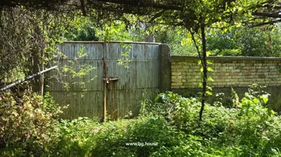A metal gate with a rusty latch surrounded by green plants and a brick wall under a leafy canopy.