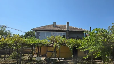 Two-story house with tiled roof and two chimneys, grapevines growing on wooden trellises in front